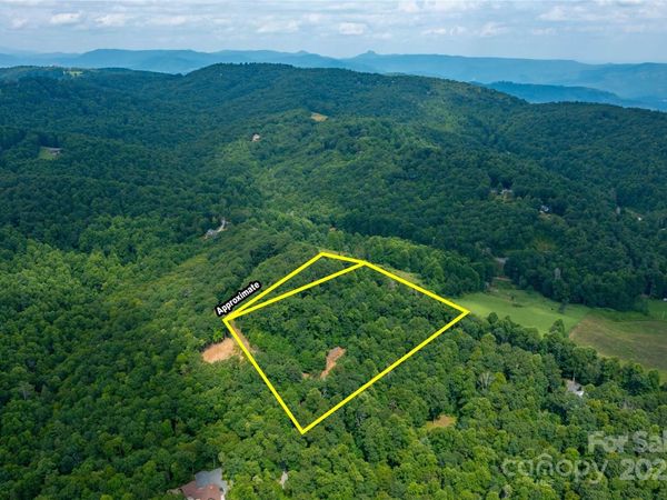 000 Sassafras Drive, Little Switzerland, NC 28777