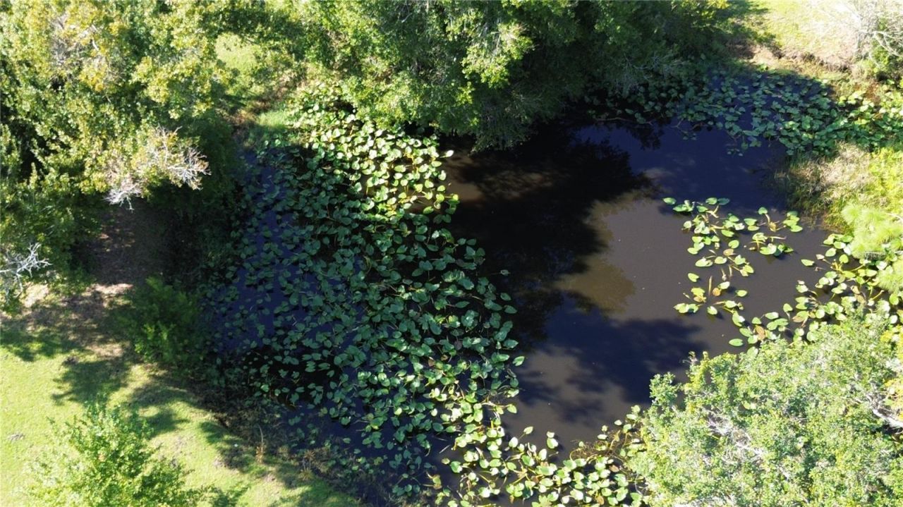 30110 Loblolly Pine Drive, Punta Gorda, FL 33982 Photo