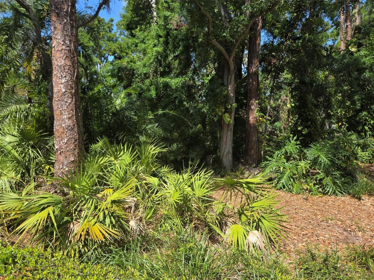 215 48th Street Nw, Bradenton, FL 34209 Photo