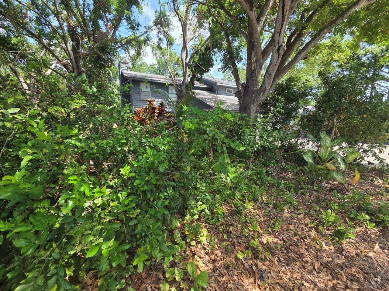 215 48th Street Nw, Bradenton, FL 34209 Photo
