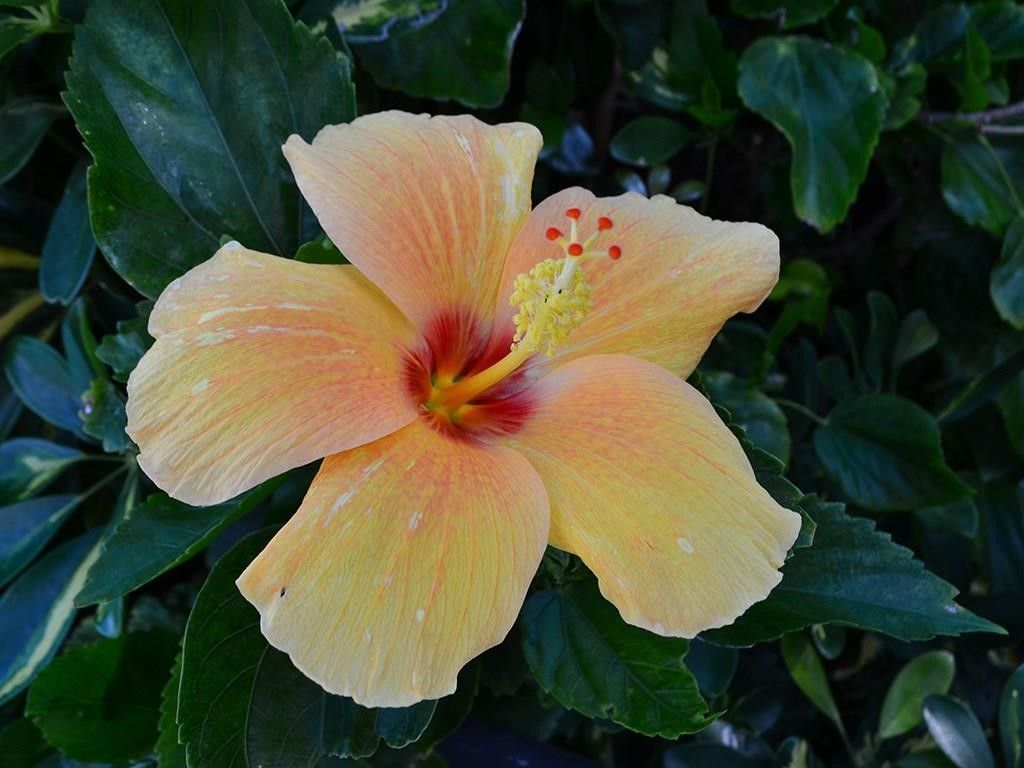 5151 A1a Highway, Unit 404, Vero Beach, FL 32963 Photo