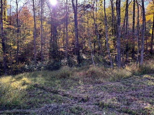 Lot 20 Island Road, Junior, WV 26275