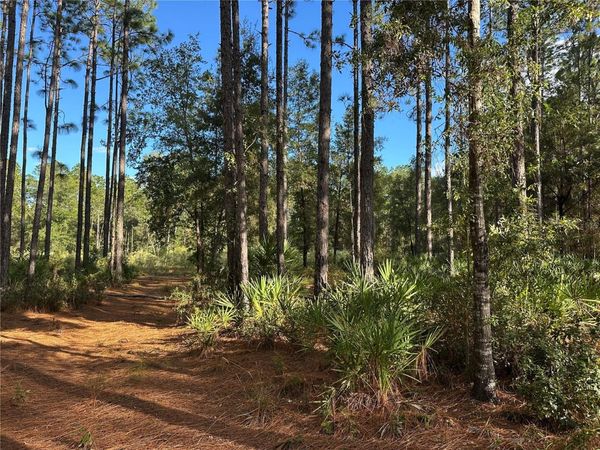 BEVERLY HILLS, FL 34465