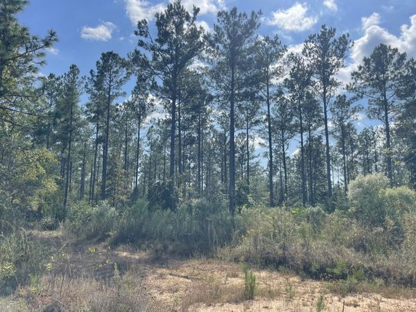 TBD Holly Springs Rd, Foxworth, MS 39483