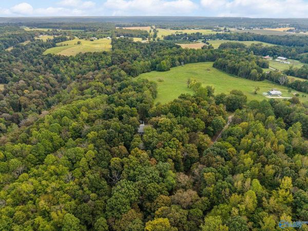 13.2 Acres Aunt Ann Hill Road, Lester, AL 35647