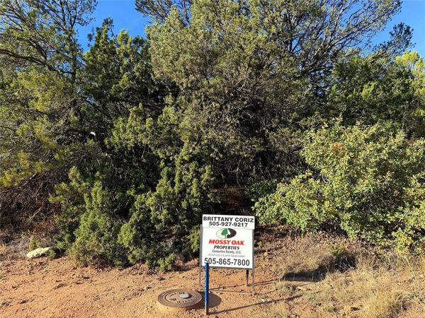 9 Peterson Rd., Edgewood, NM 87015