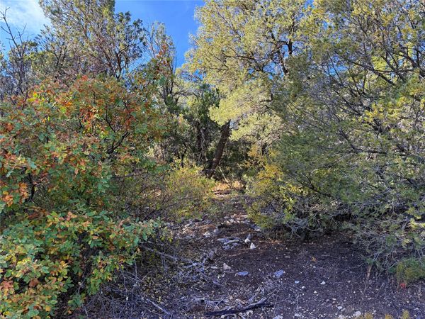 9 Peterson Rd., Edgewood, NM 87015