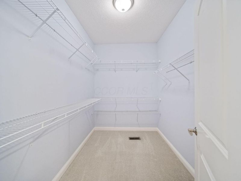 11 Murphys View Place, Powell, OH 43065 Photo 30