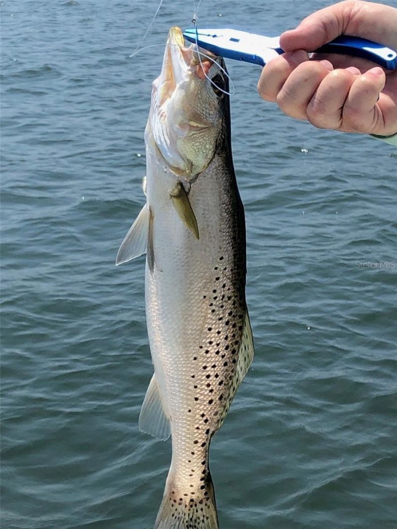 988 Blvd Of The Arts, Unit 109, Sarasota, FL 34236 Photo