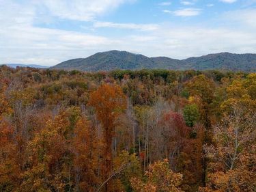 0 ADIAL RD, Unit 10, FABER, VA 22938