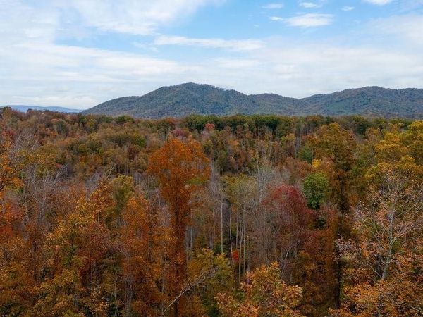 0 ADIAL RD, Unit 10, FABER, VA 22938