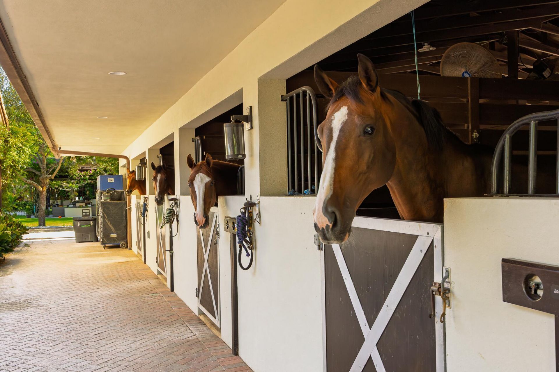 5420 Las Palmas Avenue, Wellington, FL 33449 Photo