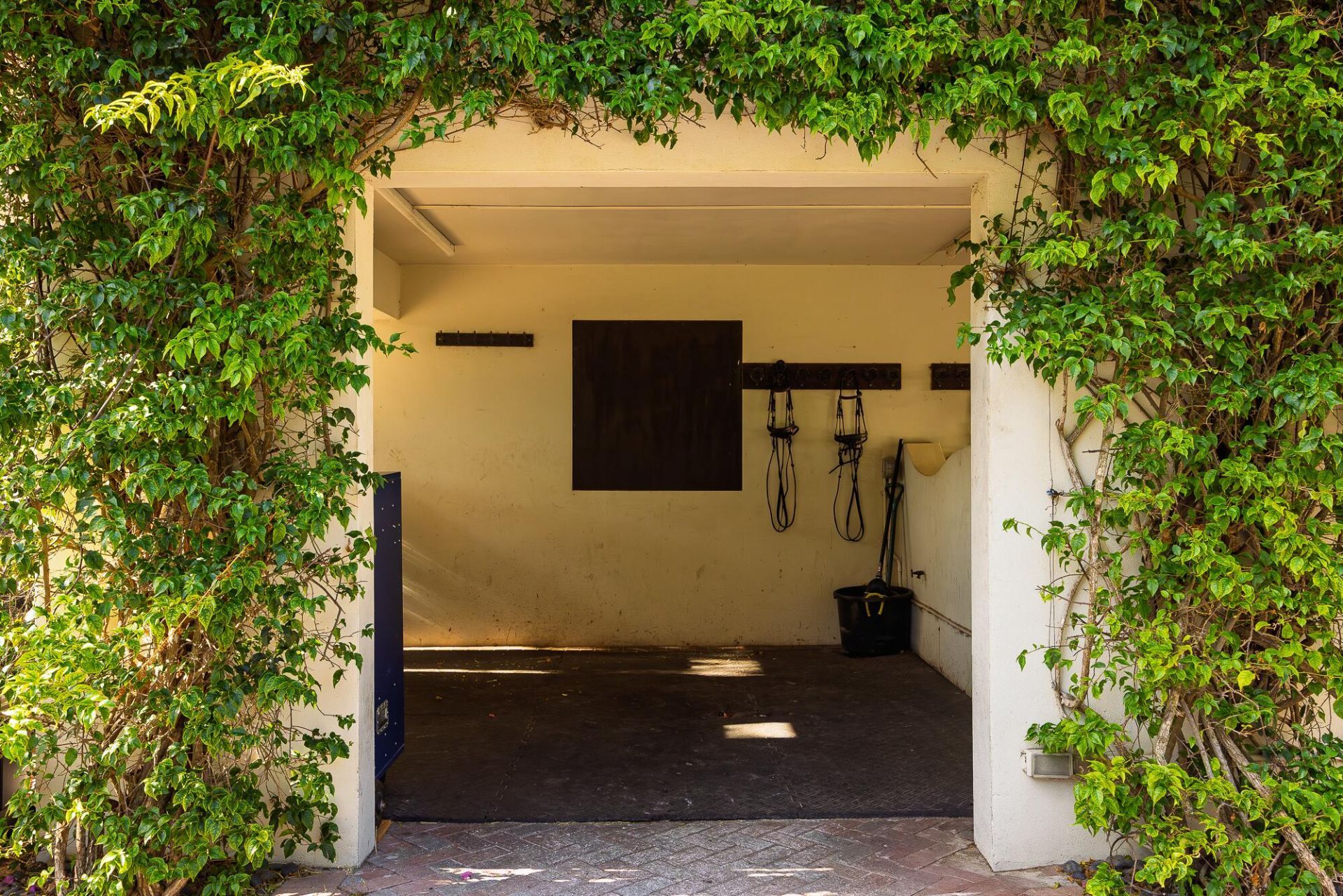 5420 Las Palmas Avenue, Wellington, FL 33449 Photo