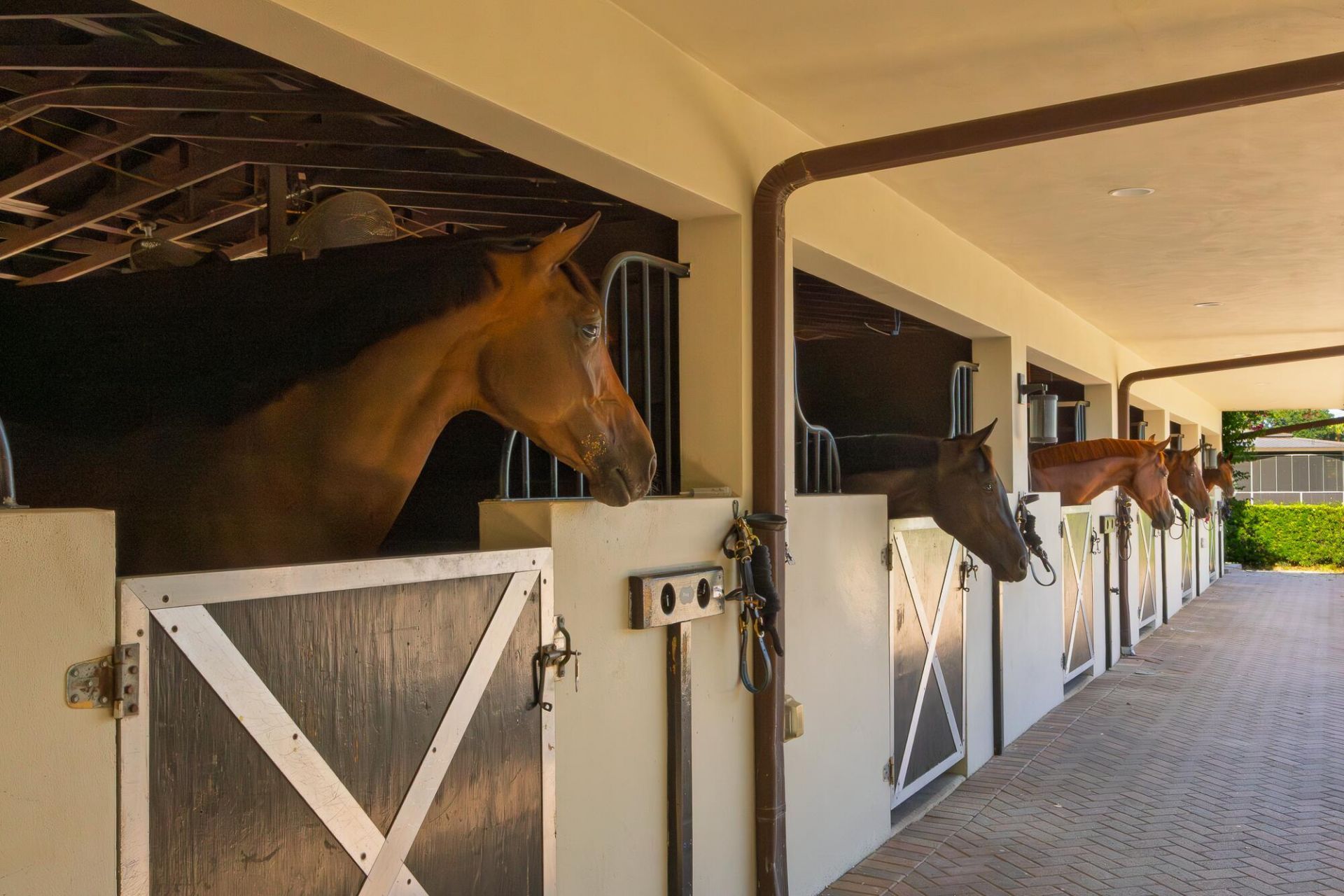 5420 Las Palmas Avenue, Wellington, FL 33449 Photo