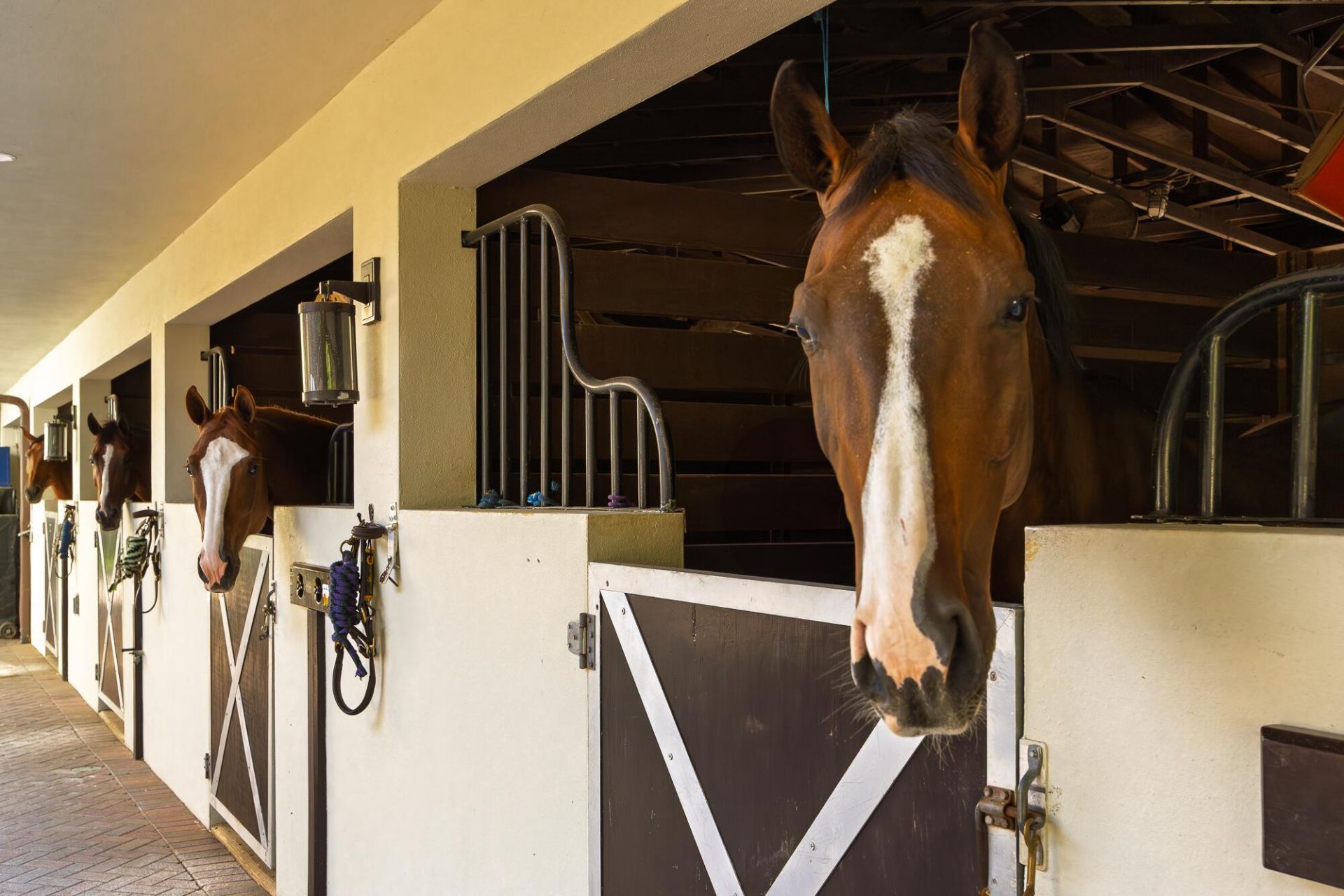 5420 Las Palmas Avenue, Wellington, FL 33449 Photo