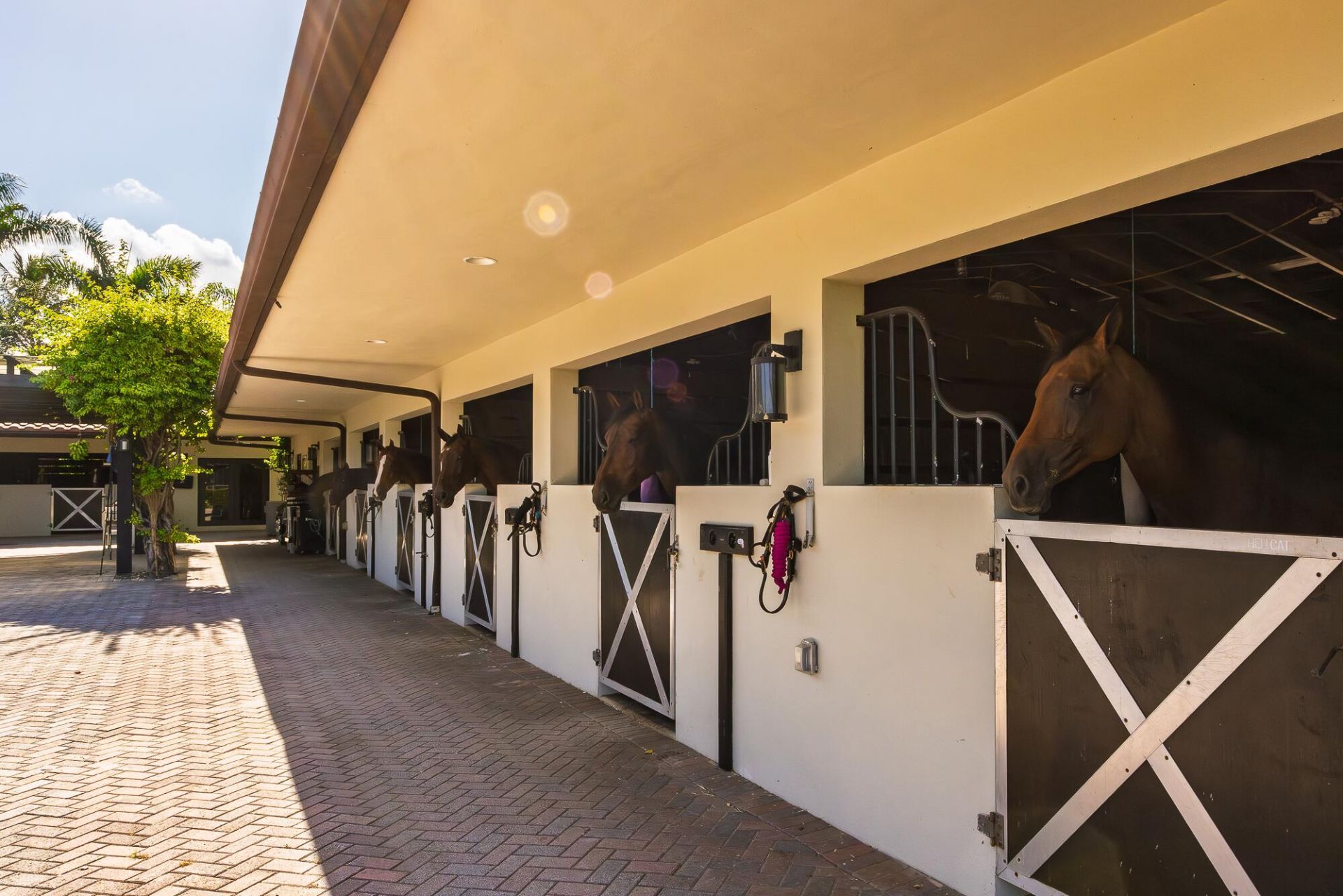 5420 Las Palmas Avenue, Wellington, FL 33449 Photo