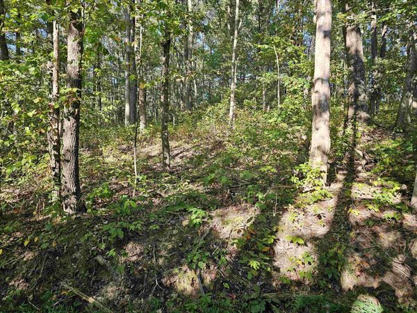 TBD CR 66/1 Road, Charleston, WV 25306