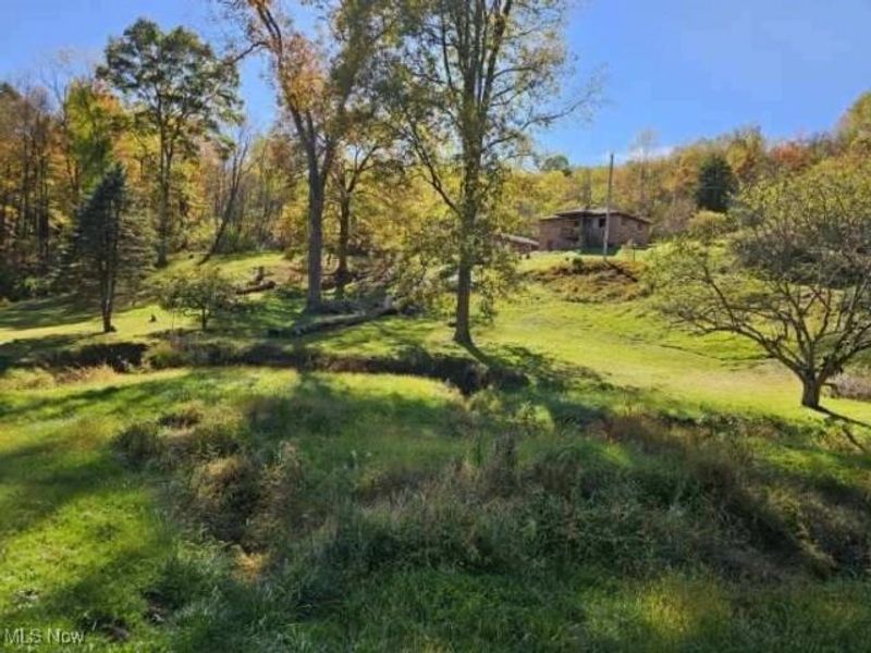 8125 Scio Road SE, Scio, OH 43988 Photo 13