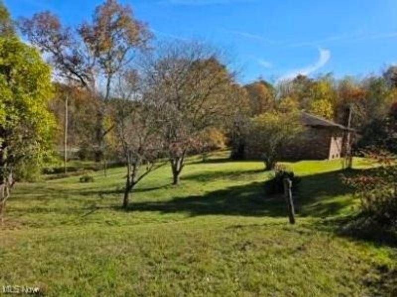 8125 Scio Road SE, Scio, OH 43988 Photo 15