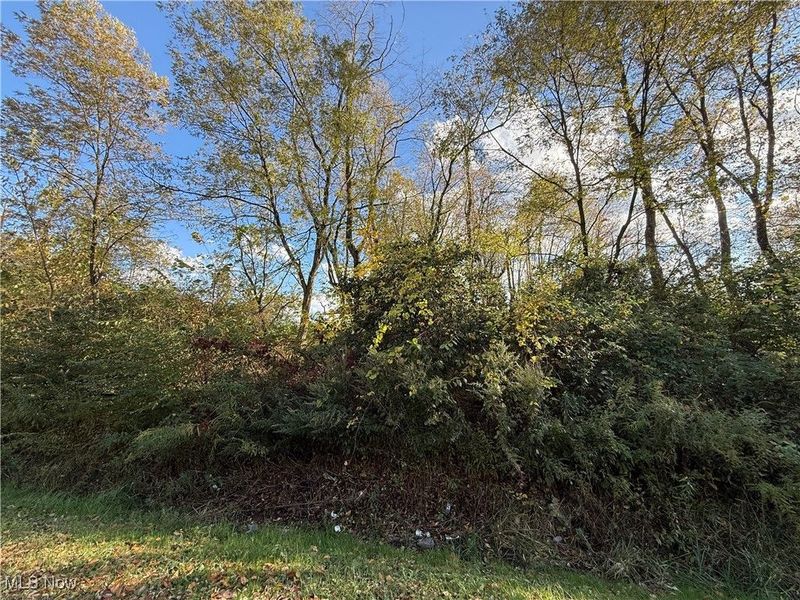 New Castle Road, Lowellville, OH 44436 Photo 2