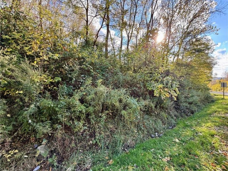 New Castle Road, Lowellville, OH 44436 Photo 3