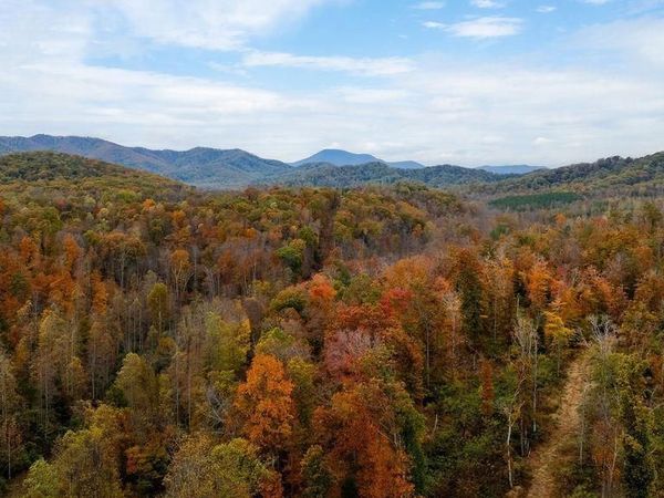 0 ADIAL RD, Unit 13, FABER, VA 22938