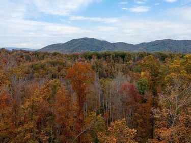 0 ADIAL RD, Unit 10, FABER, VA 22938