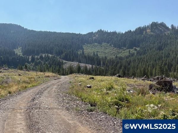 0 Thomas Creek (160) Dr, Scio, OR 97374