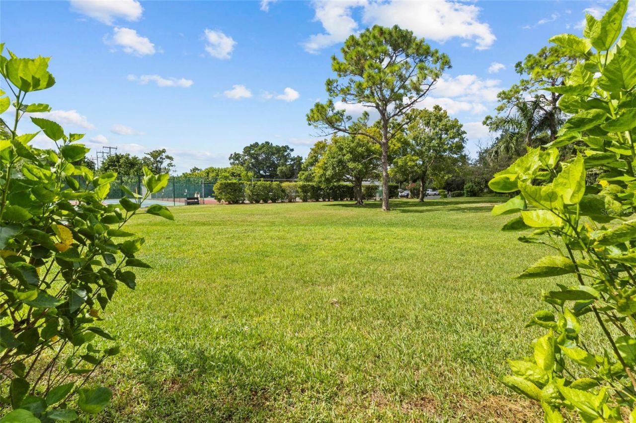 411 Palm Tree Drive, Unit 411, Bradenton, FL 34210 Photo