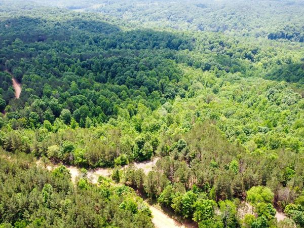 0 Old Mail Road, Duck River, TN 38454