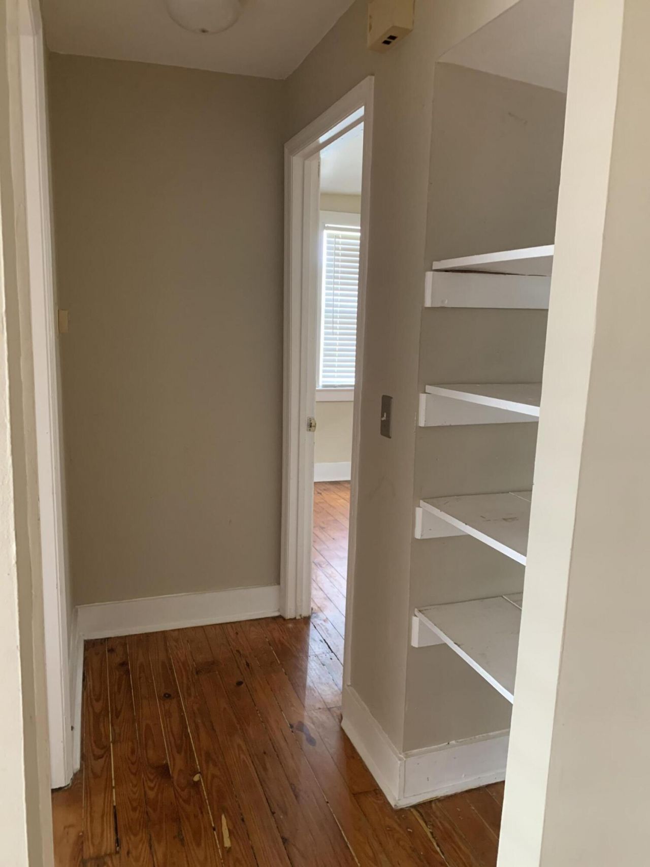 319 Ashley Avenue Photo 12