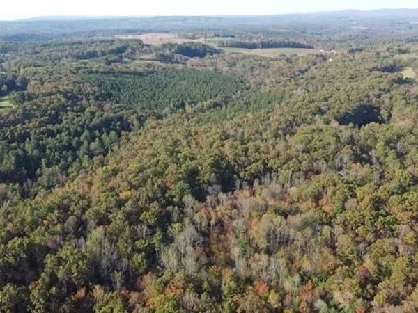 92+- Acres Dogwood Rd, Grandview, TN 37337