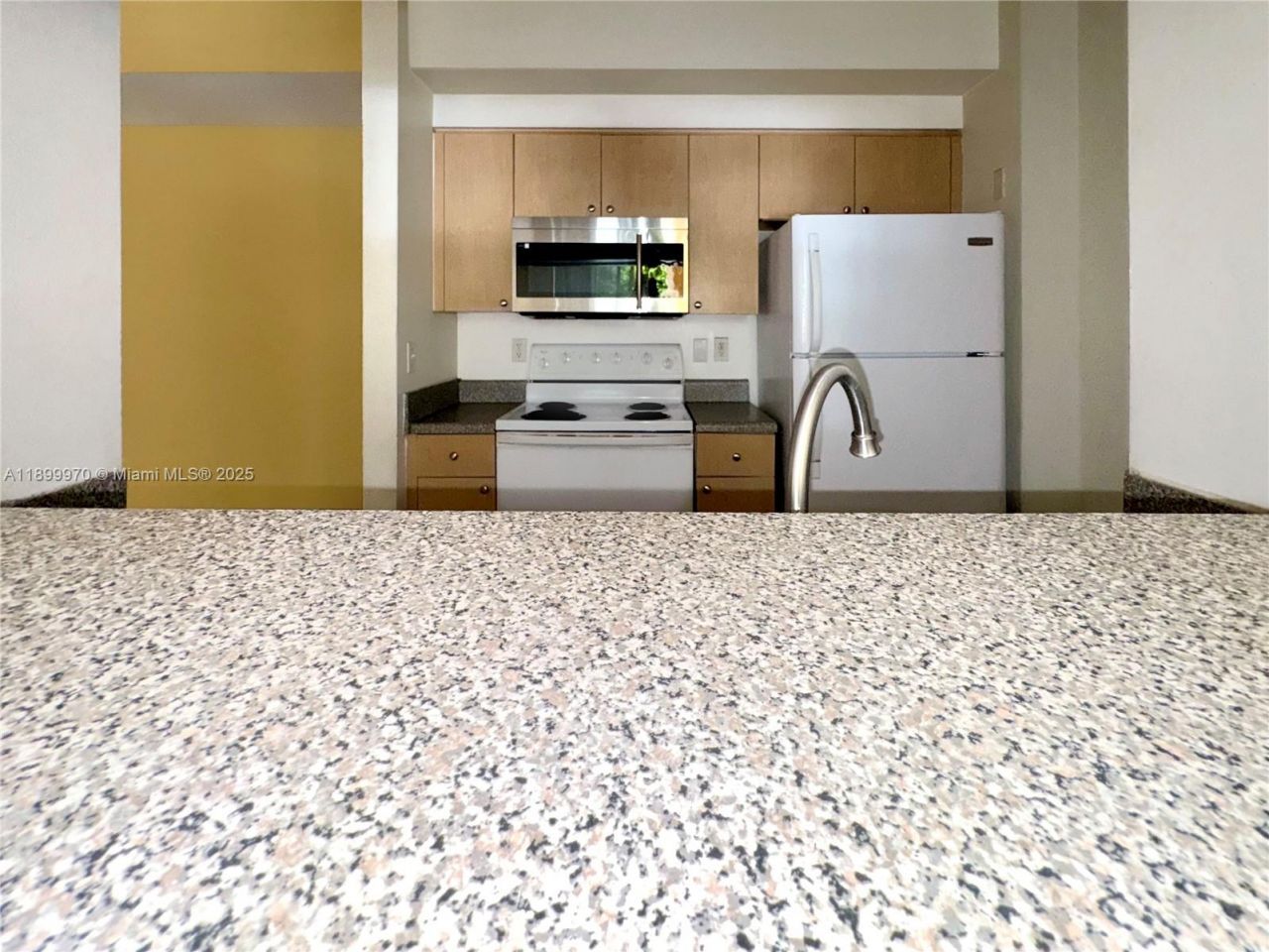 2440 E Preserve Way, Unit 208, Miramar, FL 33025 Photo