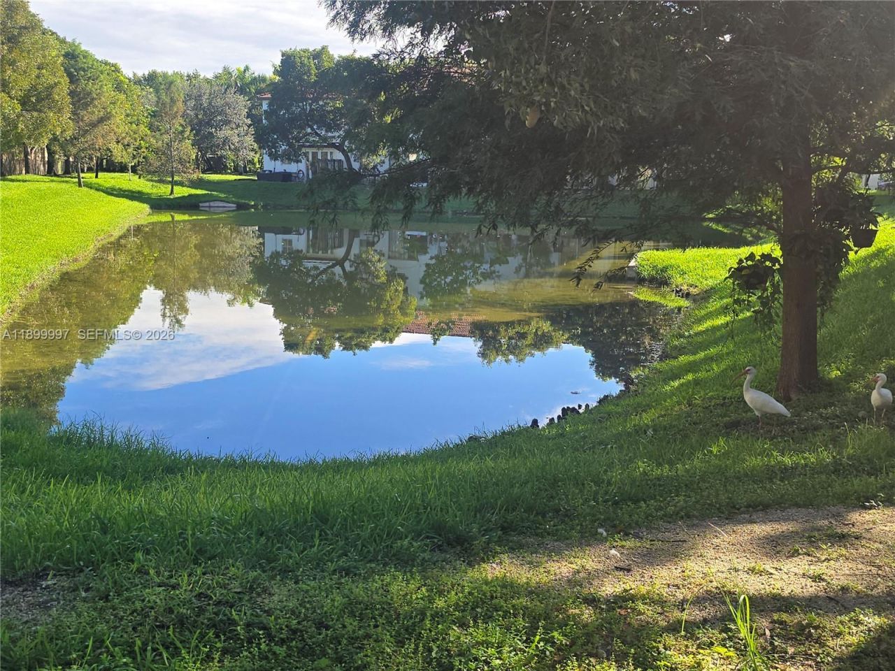 3166 NE 11th St, Homestead, FL 33033 Photo