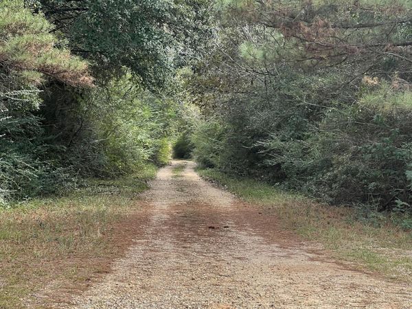 0 Wildwood Drive, Lumberton, MS 39455
