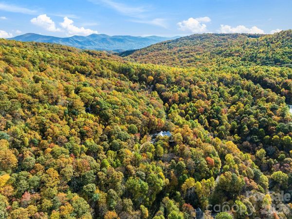 99999 Lytle Cove Road, Swannanoa, NC 28778