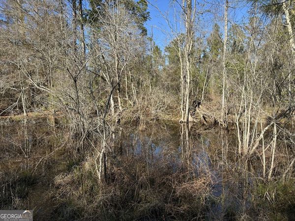 009 Mt Zion Road, Gordon, AL 36343