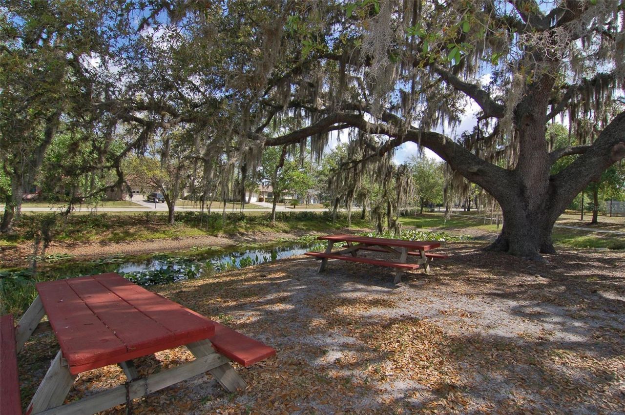 2246 Cork Oak Street W, Sarasota, FL 34232 Photo