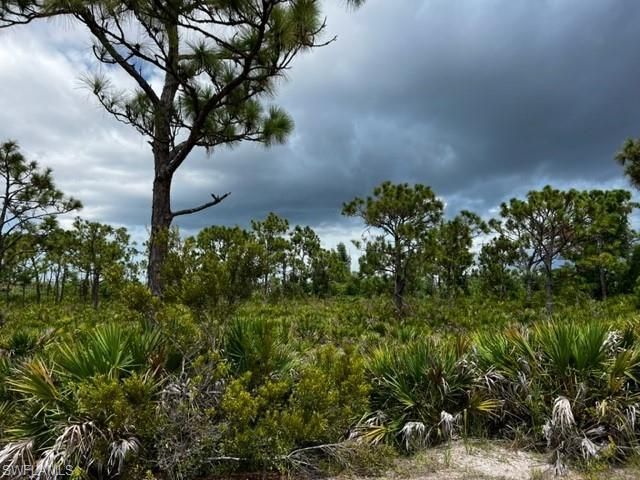 12528 Canoe Trl, Bokeelia, FL 33922 Photo