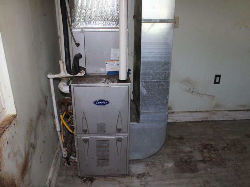 360 Bridgeville Road, Germantown, KY 41044 Photo 18