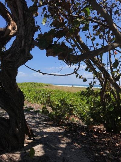 30 Andrews Ave, Unit 23C, Delray Beach, FL 33483 Photo