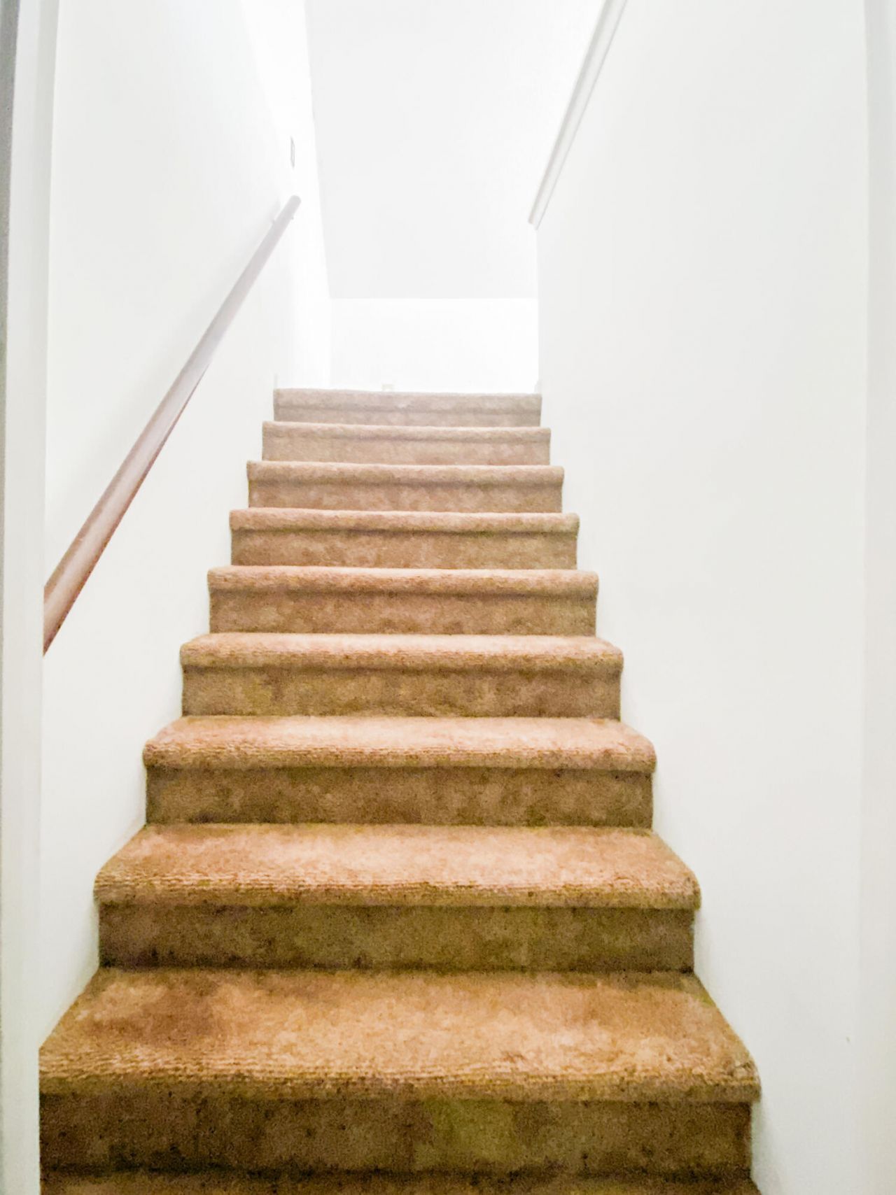 2518 Flamingo Drive Photo 18