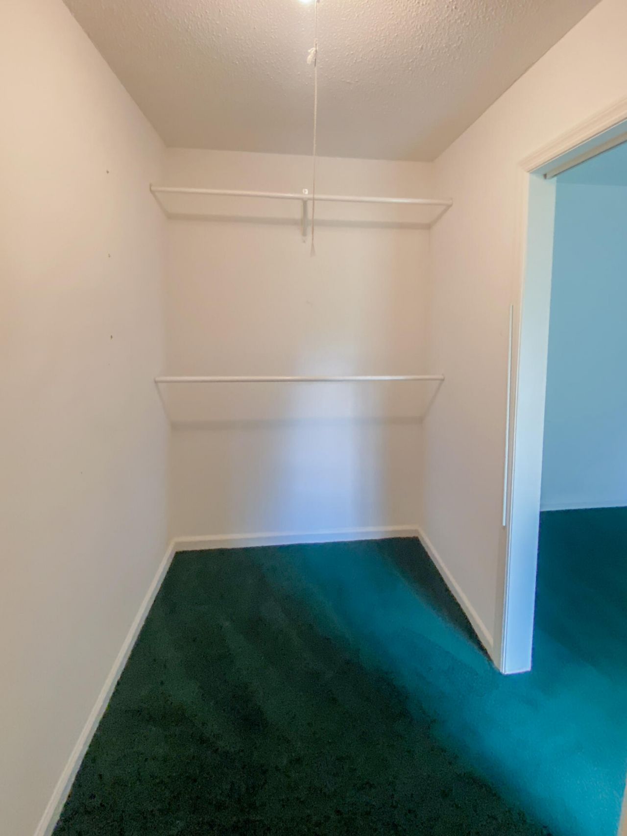 2518 Flamingo Drive Photo 9