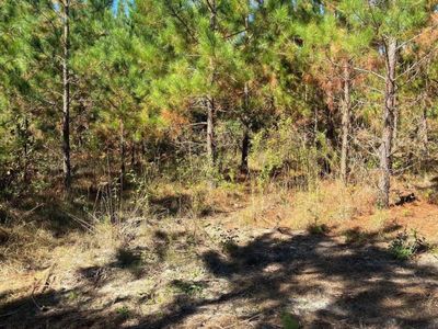 BFF 1B JC Barefoot Road, Unit BFF 1B, Patrick, SC 29584