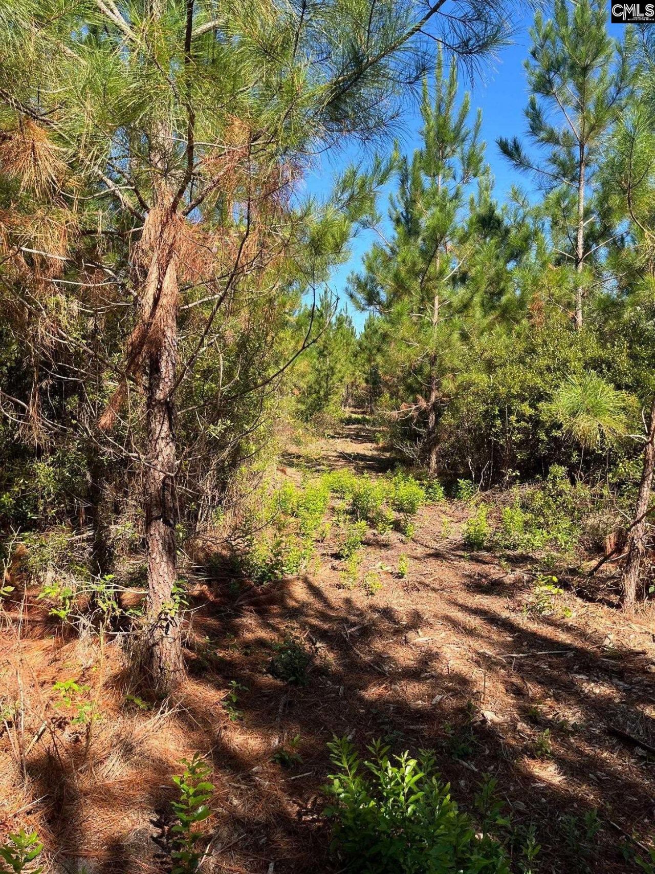 Bff 1b Jc Barefoot Road Photo 10