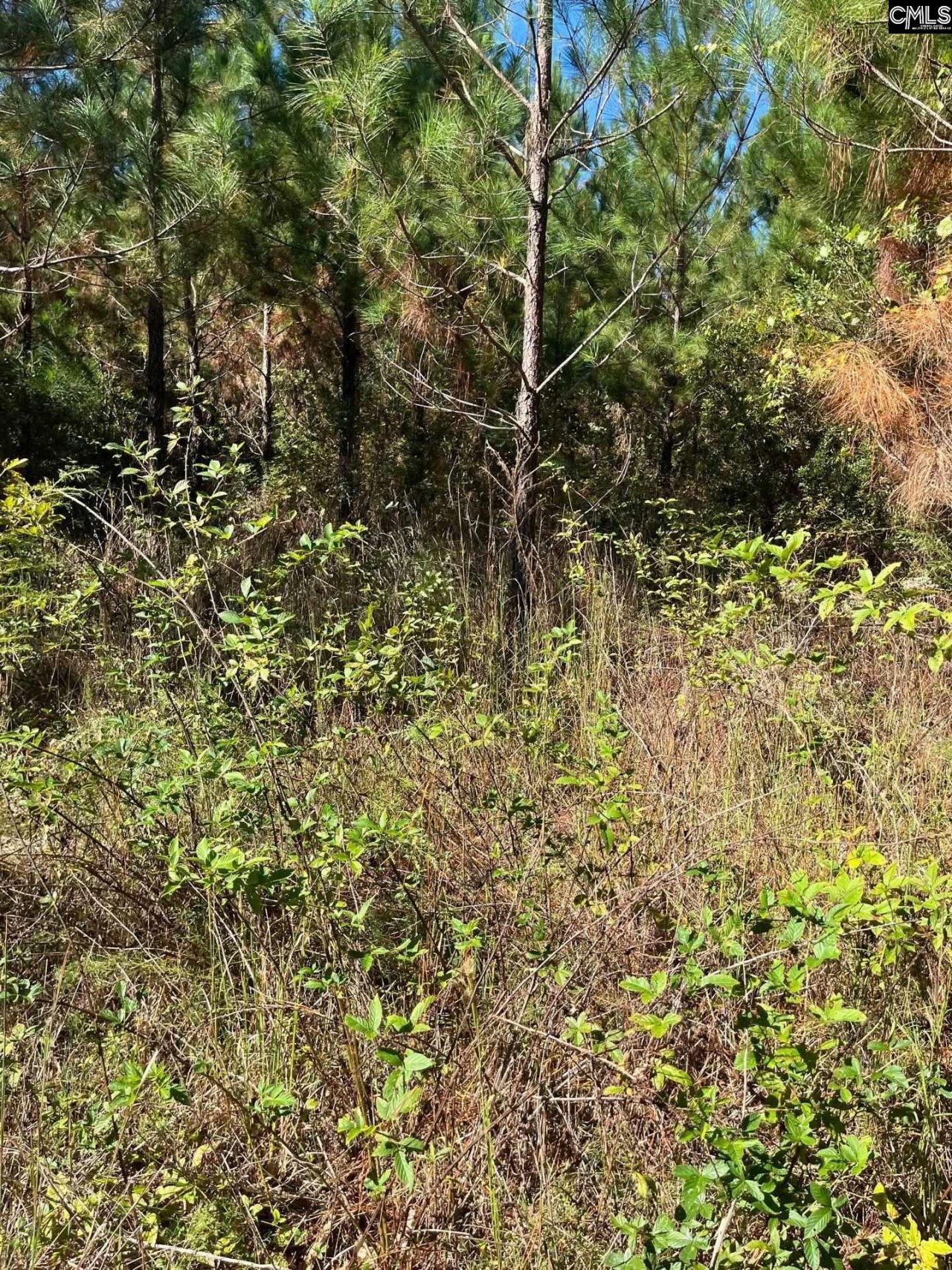 Bff 1b Jc Barefoot Road Photo 11