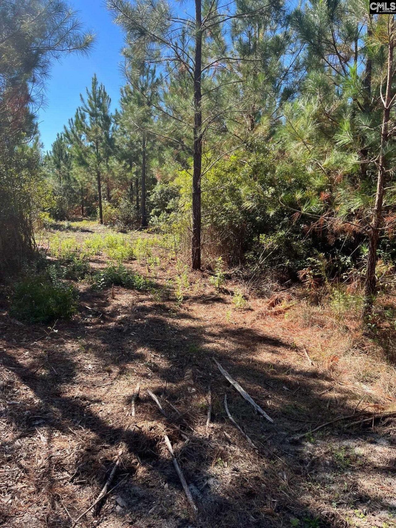 Bff 1b Jc Barefoot Road Photo 12