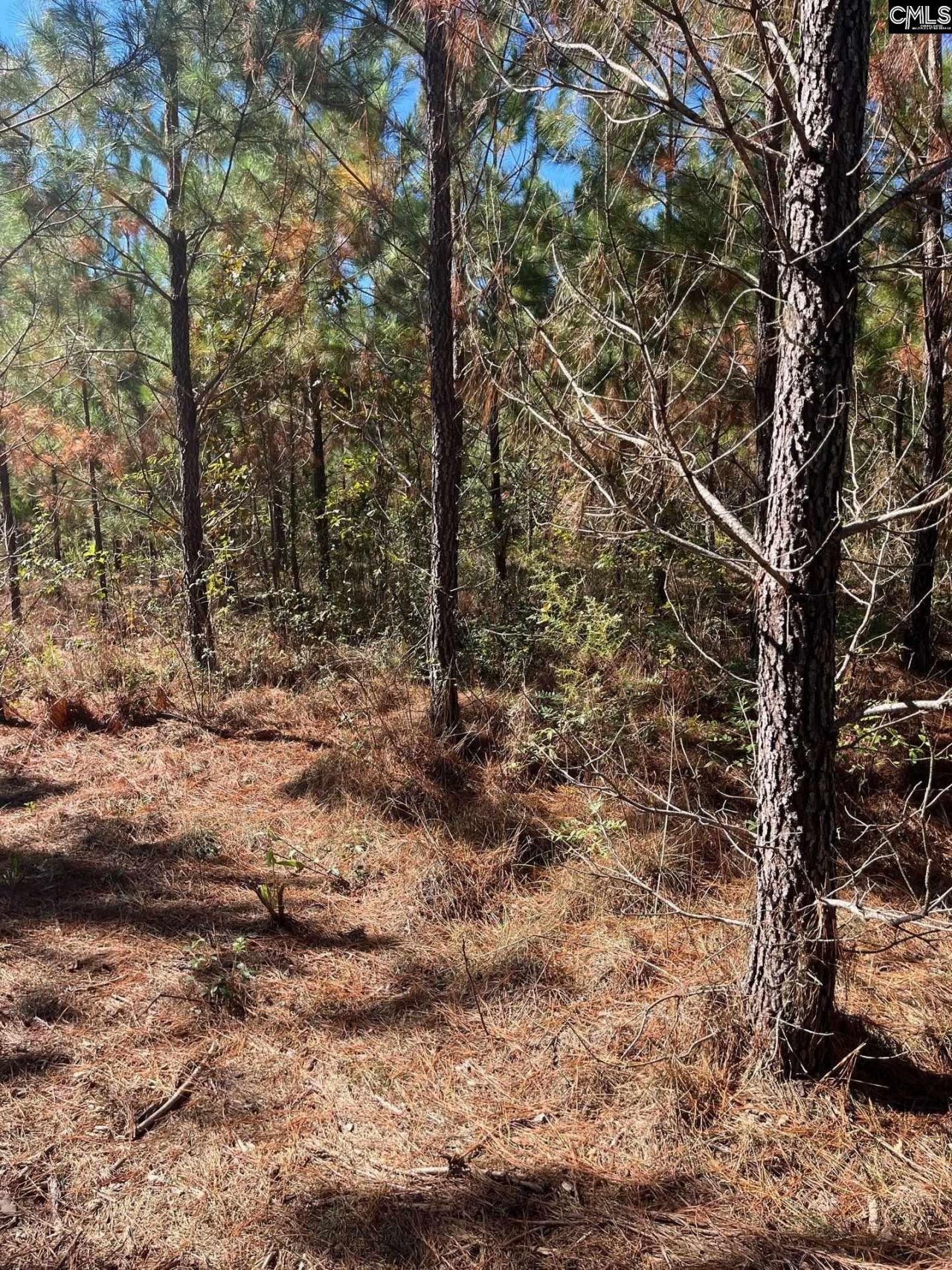 Bff 1b Jc Barefoot Road Photo 14