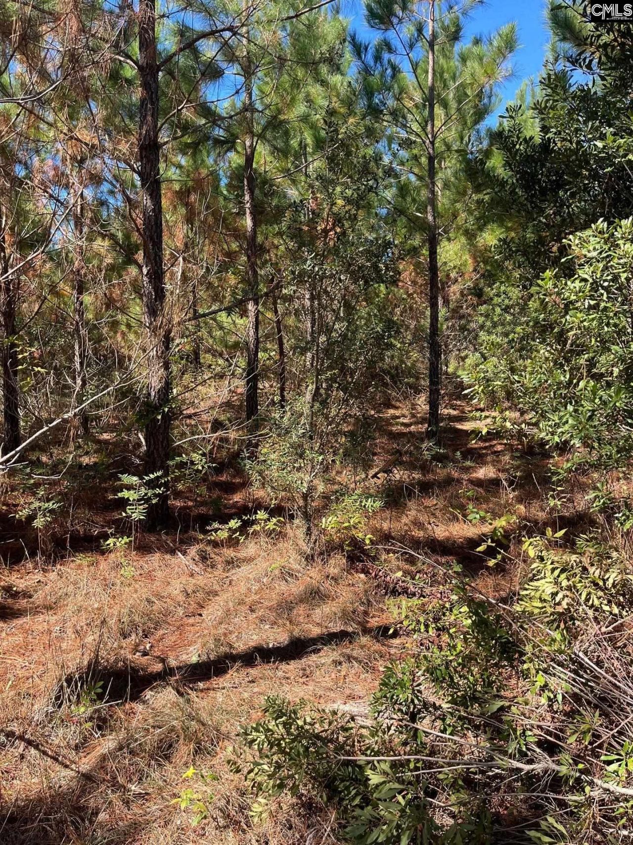 Bff 1b Jc Barefoot Road Photo 15