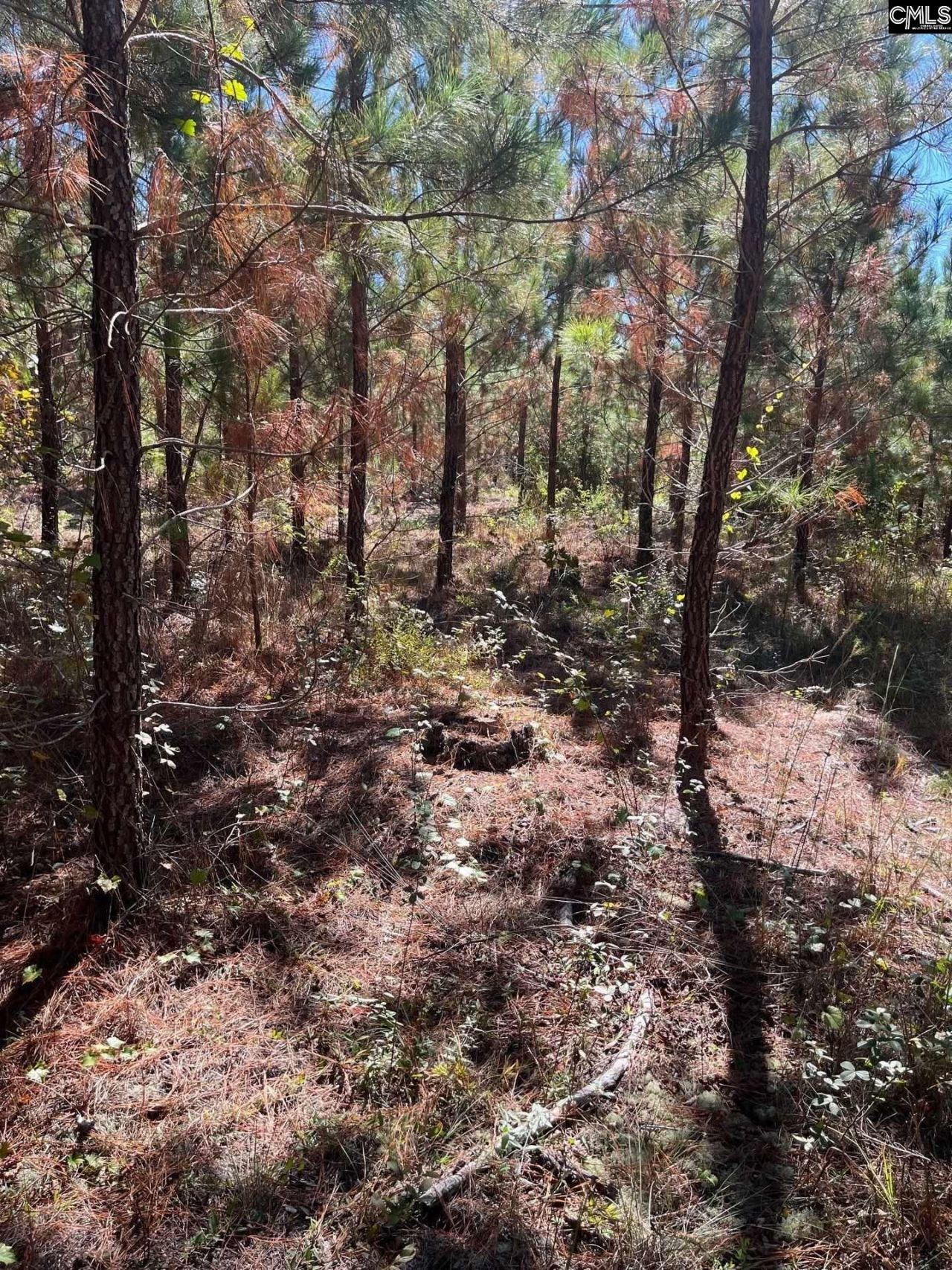 Bff 1b Jc Barefoot Road Photo 16